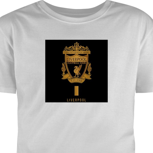 Barn-T-shirt | Bekväm T-shirt för Barn Liverpool grå 12-13 År