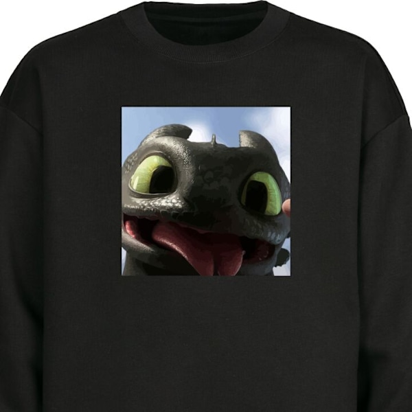 Sweatshirt til Voksne | Klassisk Collegebluse Hvordan træner du din drage sort L