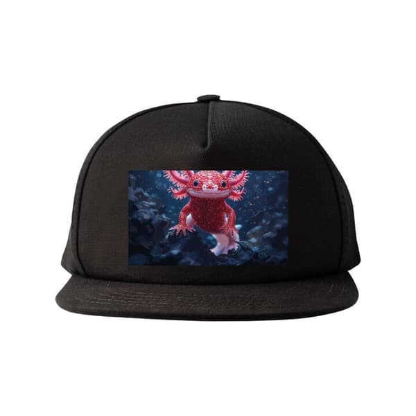 Snapback-lippalakki musta one size