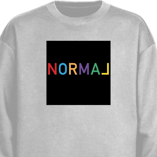 Sweatshirt til Voksne | Klassisk Collegebluse Normal grå XXL