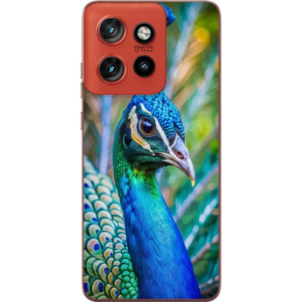 Motorola Edge 50 Neo Genomskinligt Skal Påfågel Fjädrar Färgstark Design Fågelmotiv Exotiskt Grafiskt Motiv Natur Lyxig Dekoration