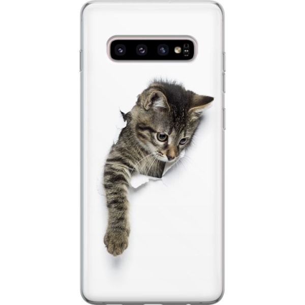 Samsung Galaxy S10+ Deksel / Mobildeksel - Katt