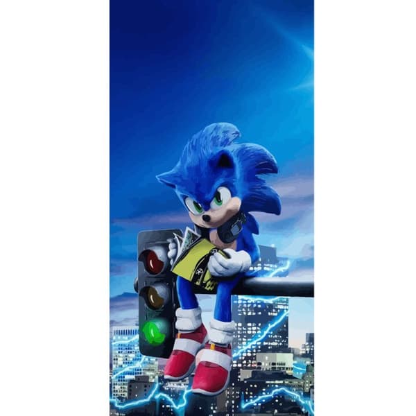 Kompatibel Tegnebogsetui til Apple iPhone 13 Pro Sonic the Hedgehog