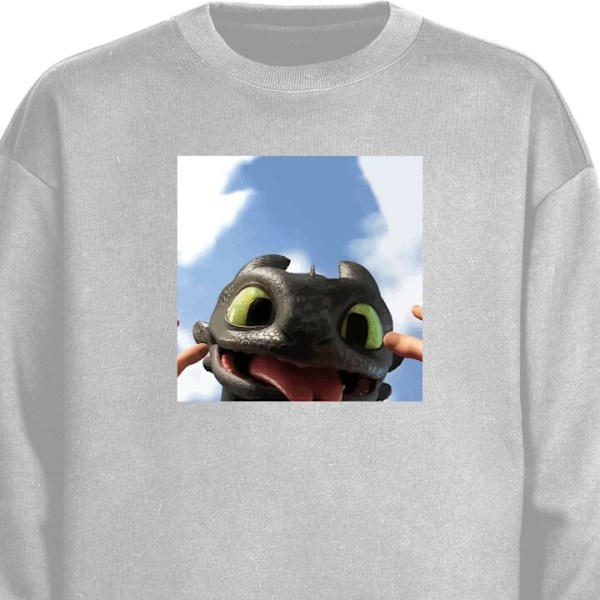 Sweatshirt for Voksen | Klassisk Collegegenser Draketrener grå XL