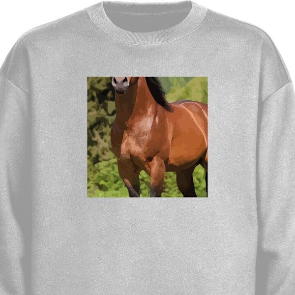 Sweatshirt for Voksen | Klassisk Collegegenser Hest grå XL