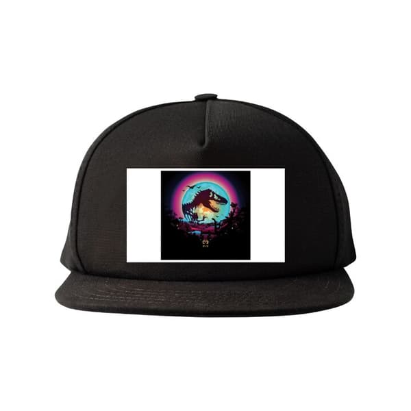 Snapback svart one size