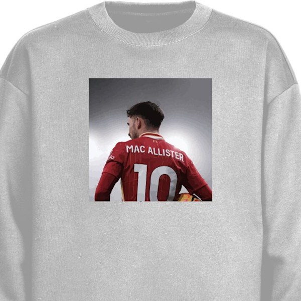 Sweatshirt for Voksen | Klassisk Collegegenser Alexis Mac Alli grå XXL