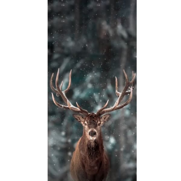 Kompatibelt Lommeboketui til Apple iPhone 13 Pro Oh Deer