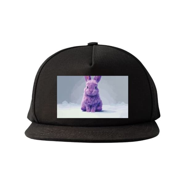 Snapback-lippalakki musta one size