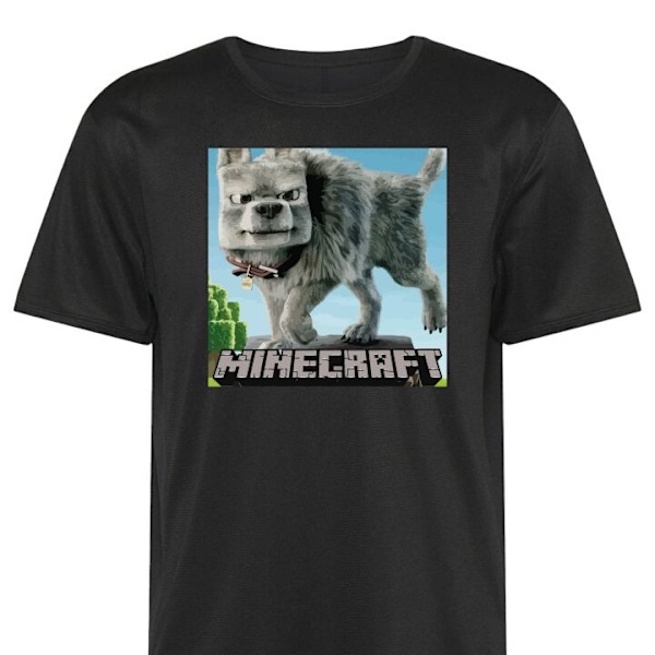 Tränings-T-shirt | Sport-T-shirt för Vuxen A Minecraft Movie svart Small