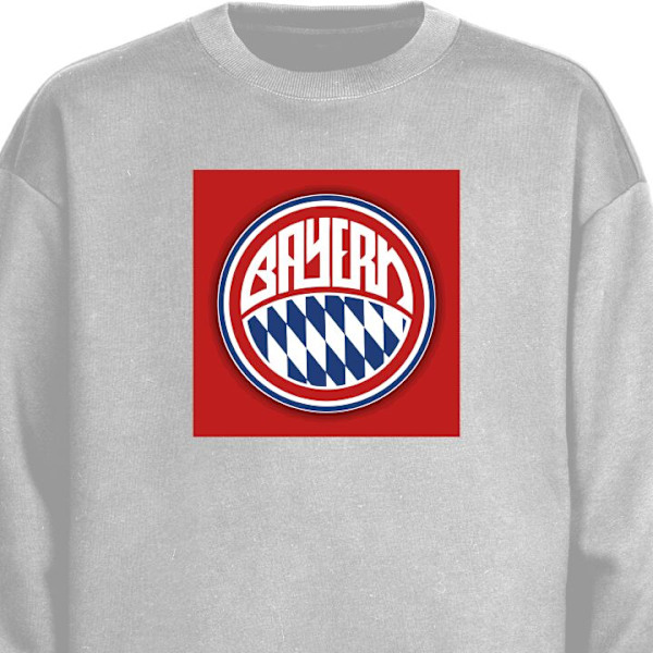 Sweatshirt för Vuxen | Klassisk Collegetröja FC Bayern Munic grå M