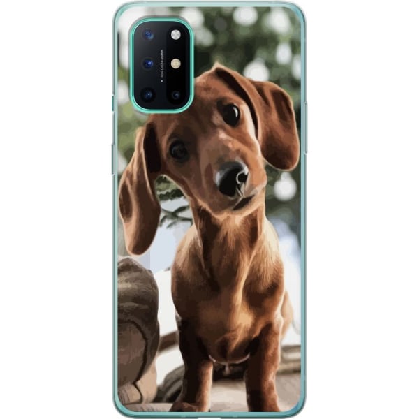 OnePlus 8T Gennemsigtig cover Ung Hund