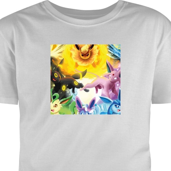 Børne T-shirt | Behagelig T-shirt til Børn Pokemon grå 2-3 År