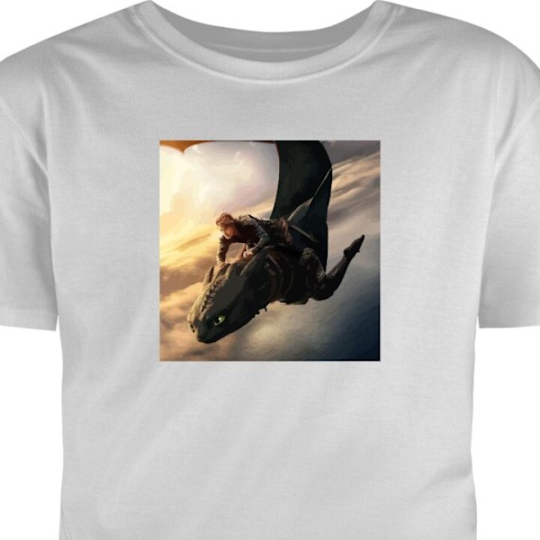 T-shirt til Voksen | Klassisk Voksen T-shirt DrageTræner grå XL