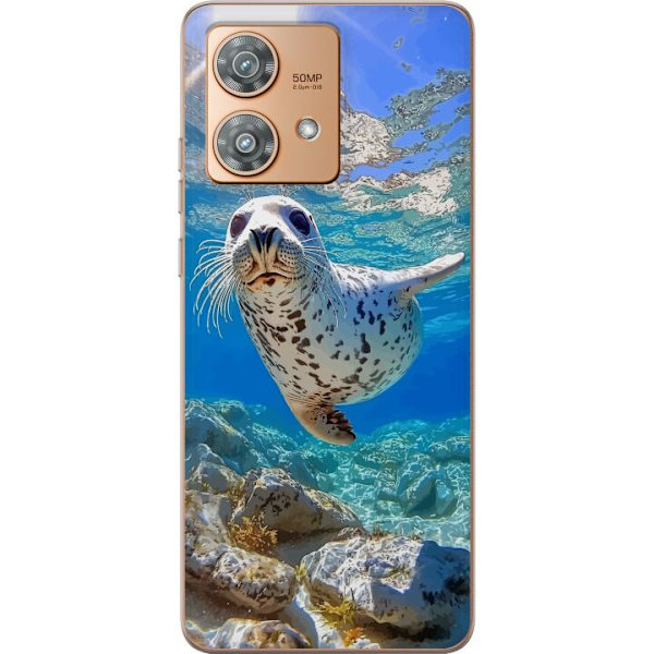 Motorola Edge 40 Neo Läpinäkyvä kuori Myynti Meri Uiminen Eläinaihe Luonto Vesimotiivi Sininen Suunnittelu Meriteema Suosittu Motiivi Villieläime