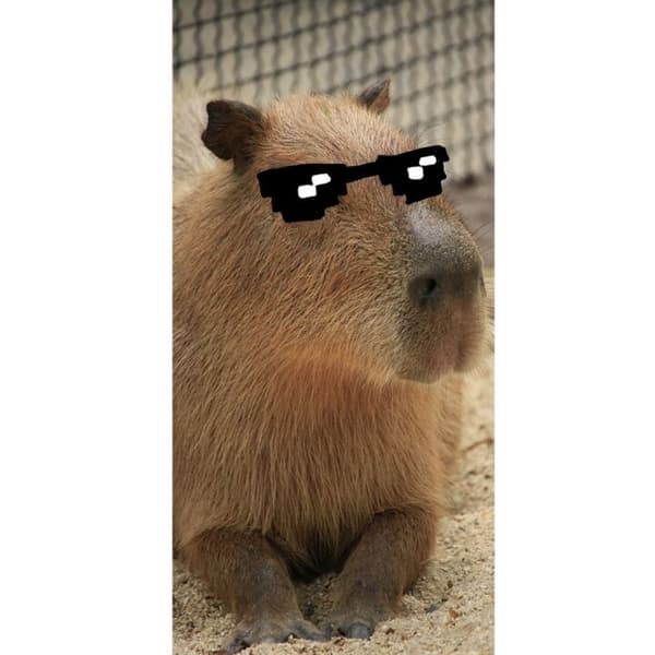 Kompatibelt Lommeboketui til Apple iPhone 13 Pro Capybara