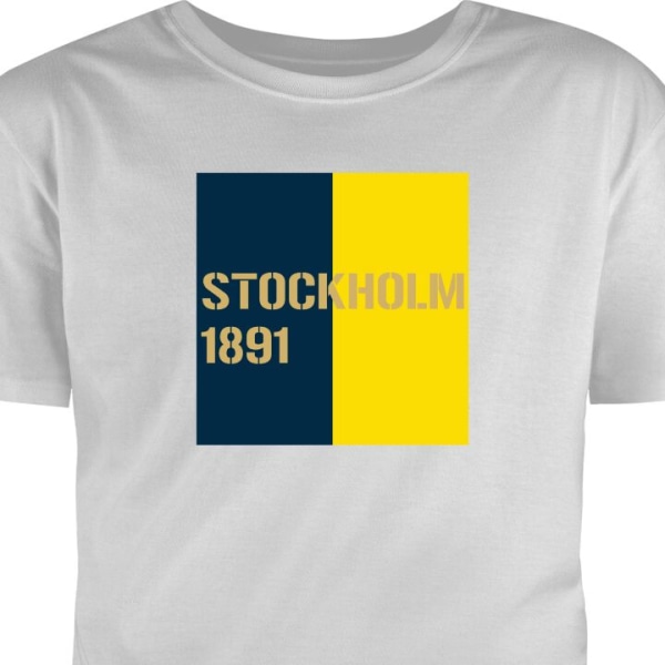 T-Shirt Stockholm 1891 harmaa XL