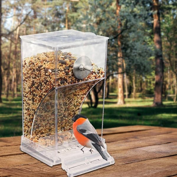An (transparent) acrylic bird feeder, does not get dirty easily.