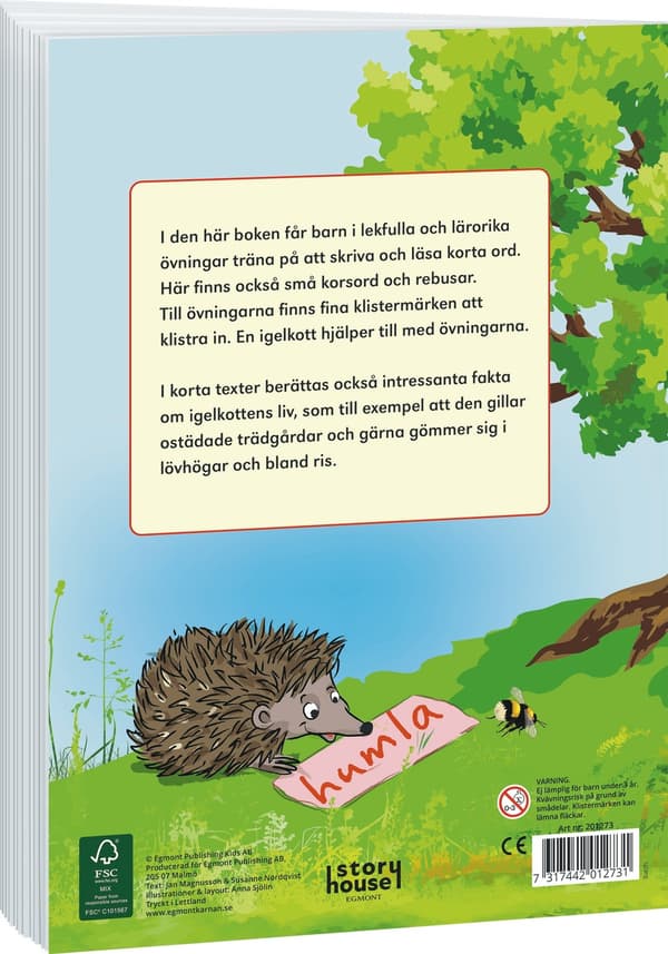 Börja med Korta ord Pysselbok multifärg multicolor
