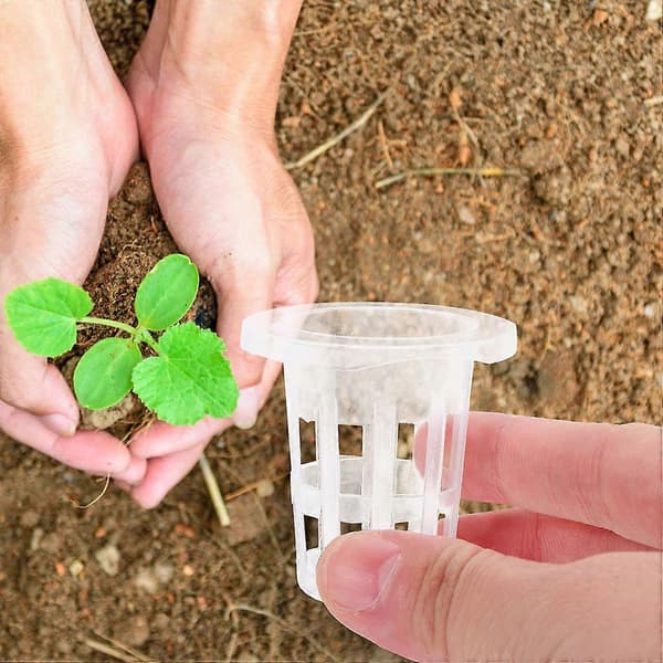100 stk. hydroponiske netpotter til plantning af hvide netkopper i plast