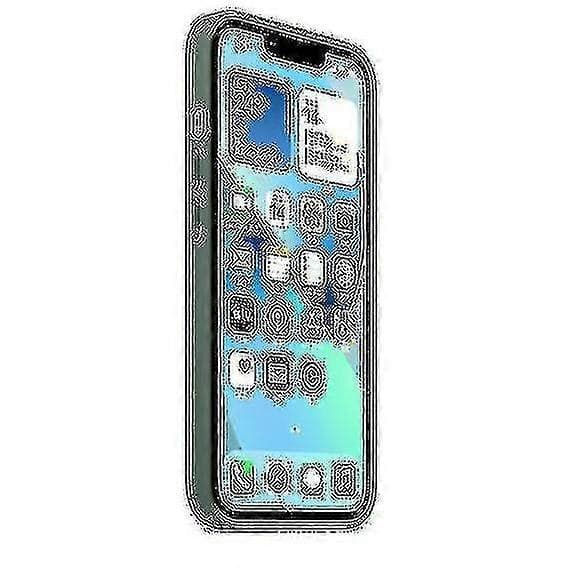 Silikone Cover med Magsafe til iPhone 13 Telefon Cover Eucalyptus