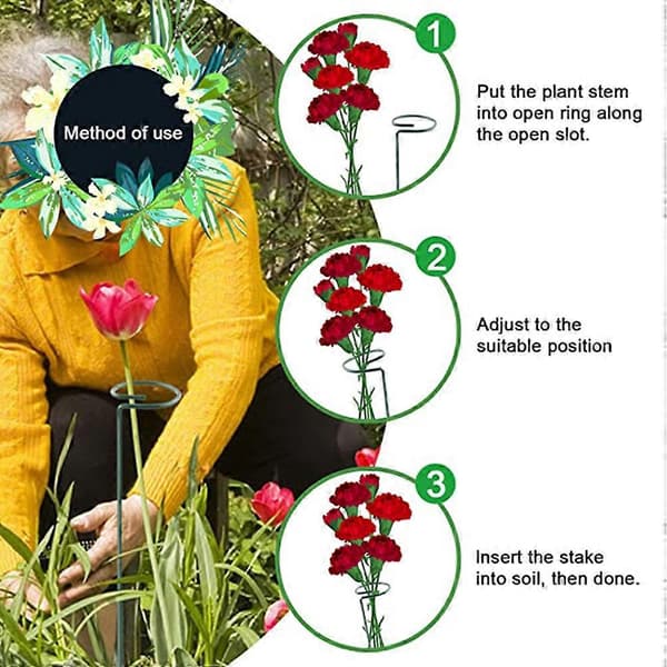 5 st växtstödspinnar Trädgård Enkelstödspinnar Amaryllis Växtbur Stödringar