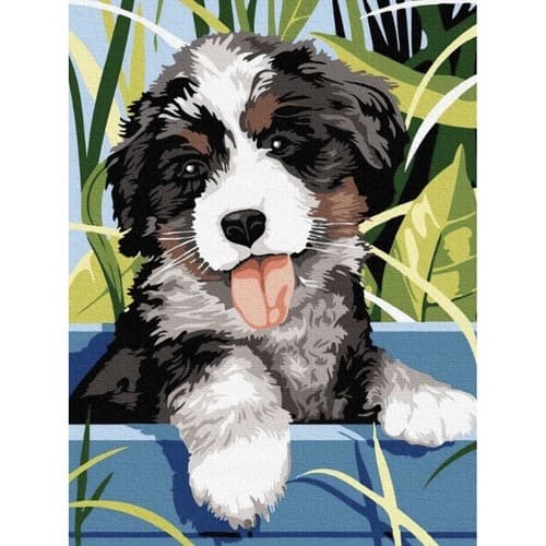 Mal efter nummer-sæt - 40x30cm – Hund 500