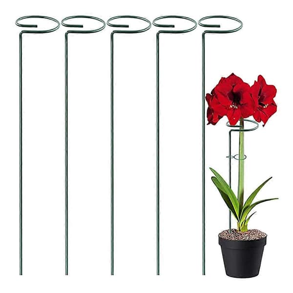 5 st växtstödspinnar Trädgård Enkelstödspinnar Amaryllis Växtbur Stödringar