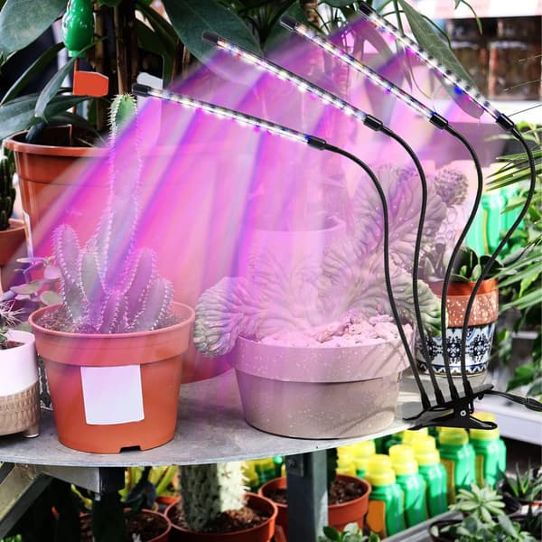Indoor Plant Lamp, Full Spectrum and Dimmable, 80 LED with 4 Arms, 3/9/12-Hour Timer, 3 Light Settings