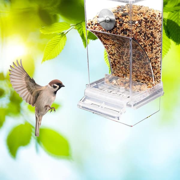An (transparent) acrylic bird feeder, does not get dirty easily.