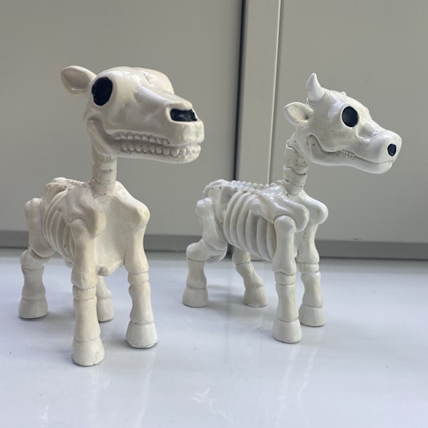 Laadukas uusi lehmä-hevonen luuranko Halloween-koriste horse