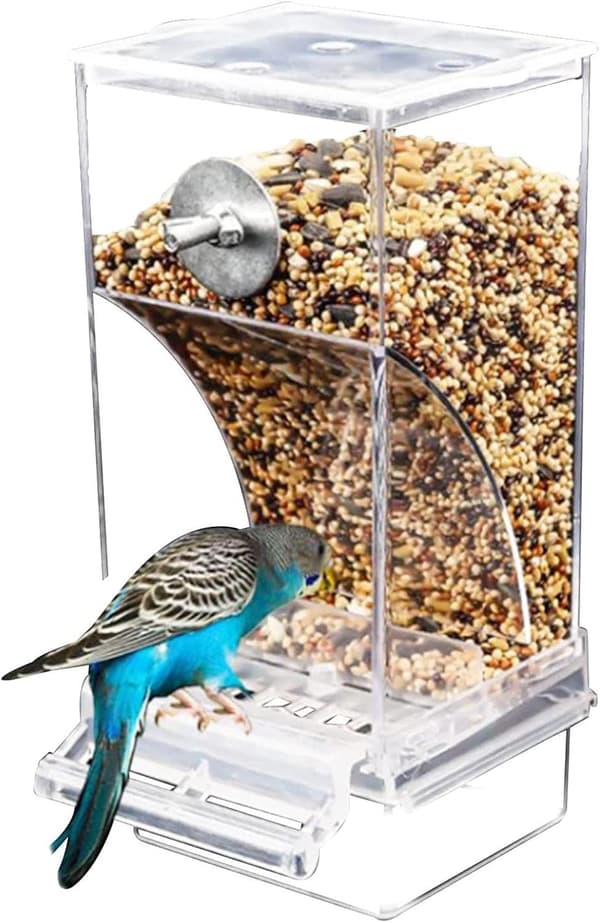 An (transparent) acrylic bird feeder, does not get dirty easily.