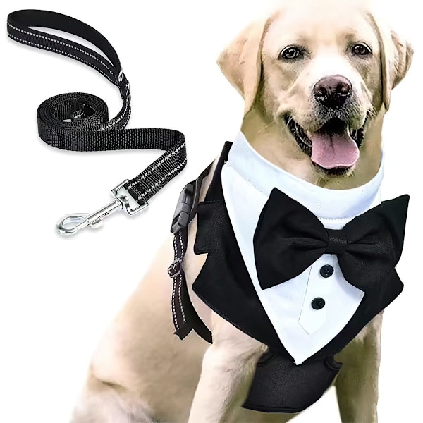 Hundkostym Dog Tuxedo Set, Objekt formell hundjacka