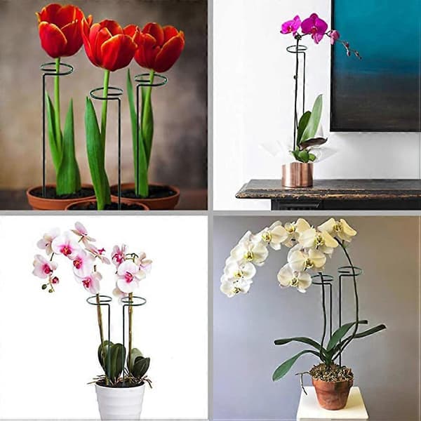 5 st växtstödspinnar Trädgård Enkelstödspinnar Amaryllis Växtbur Stödringar