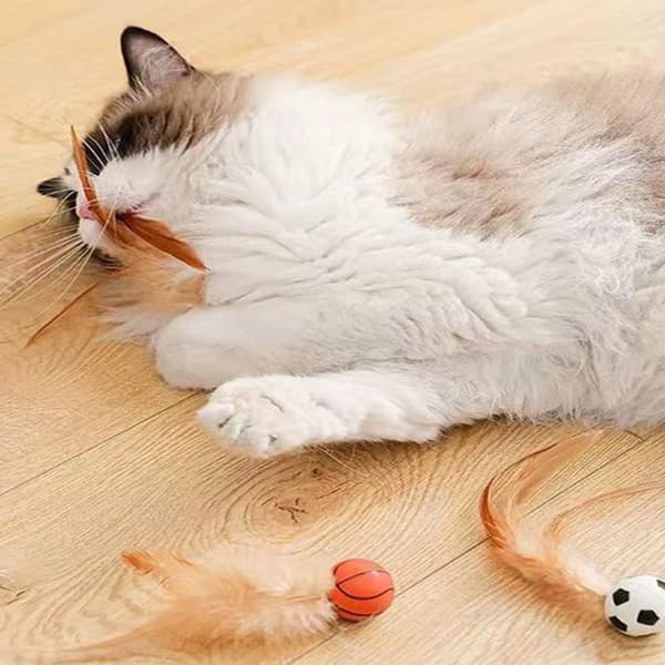 Interactive Cat Toys for Indoor Cats, Pet Bounce Ball | 6 Pieces Interactive Bouncing Ball with Feathers