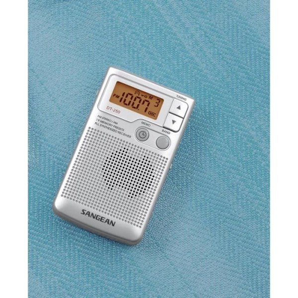 SANGEAN DT-250 Grå bærbar radio - AM/FM digital radiotuner