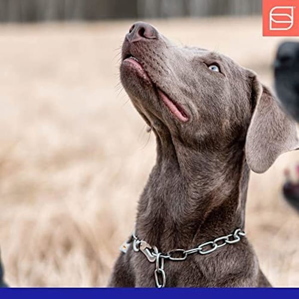 Halsbånd - HERM SPRENGER - HS - Justerbar - Rustfrit stål - Til hunde op til 55 kg flerfärgad