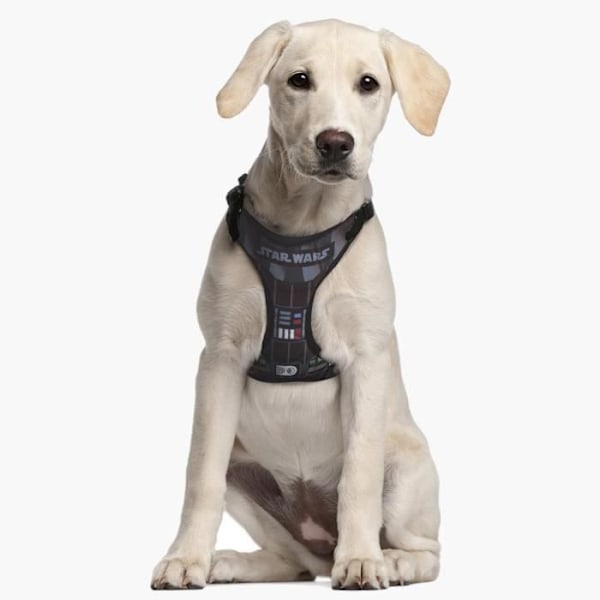 Halsbånd til Hund - Star Wars - Darth Vader - Størrelse XXS/XS - Sort - Justerbar Svart