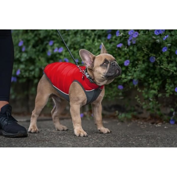 Vendbar jakke til hund - Red Dingo - 35 cm - Rød og orange - Vandtæt - Vendbar