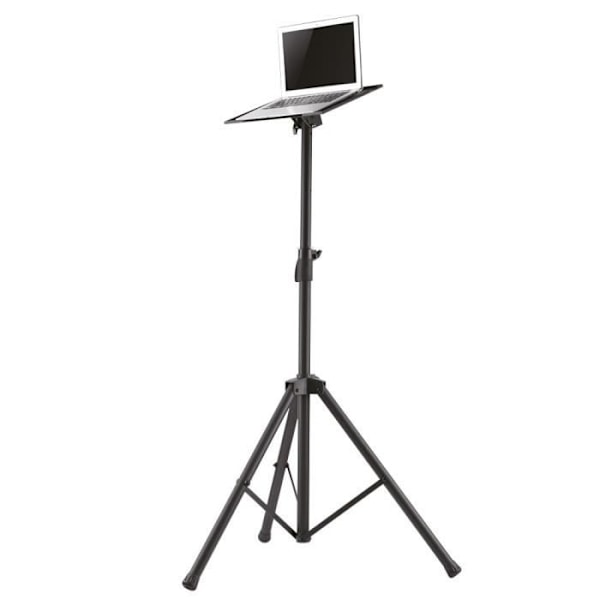 Pied - NEWSTAR - NS-FS200BLACK - Sort - 10"-32" - Maks. belastning 15 kg Sort