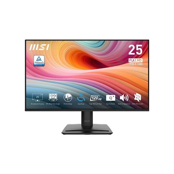 Näyttö PC Msi PRO MP251 E2