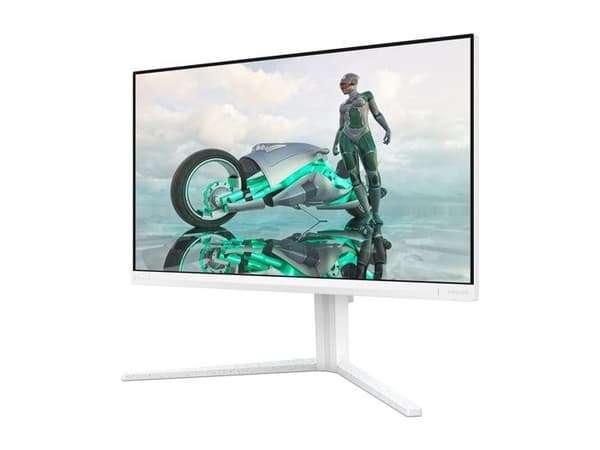 PHILIPS Philips Evnia 24M2N320