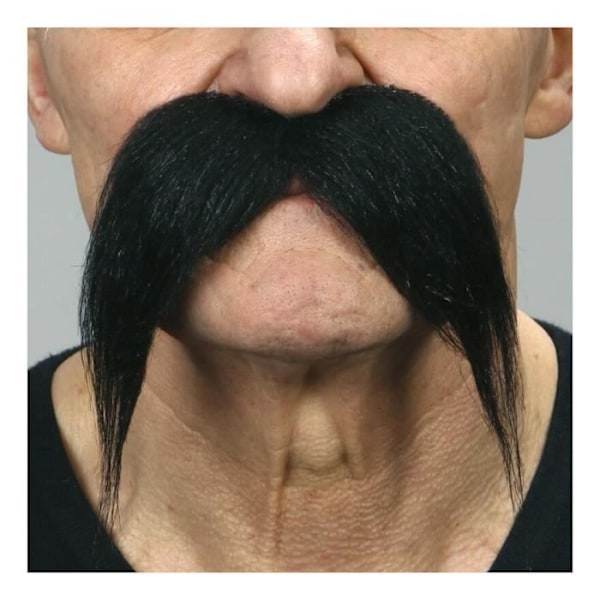 Svart kinesisk mustasch Svart