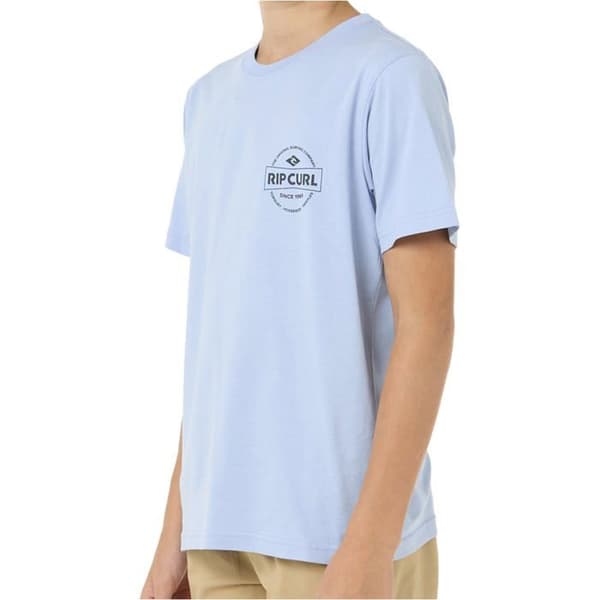 Rip Curl T-SHIRTS OG POLOS BARN M_STAPLE TEE -DRENG barn BLÅ BLÅ
