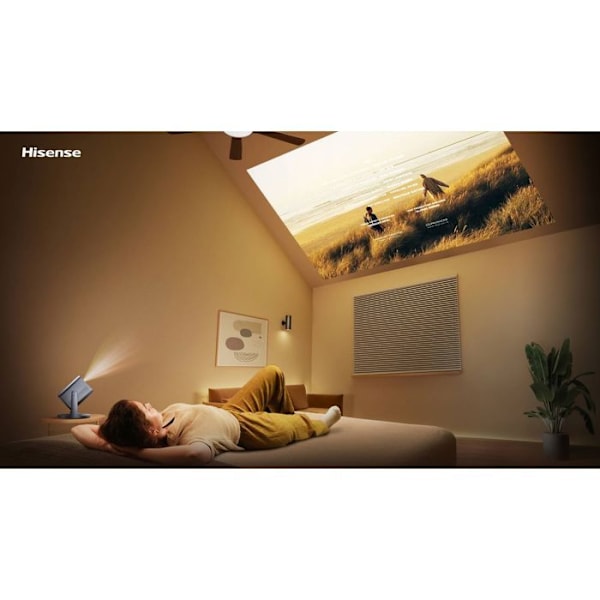 HISENSE Malli: C2