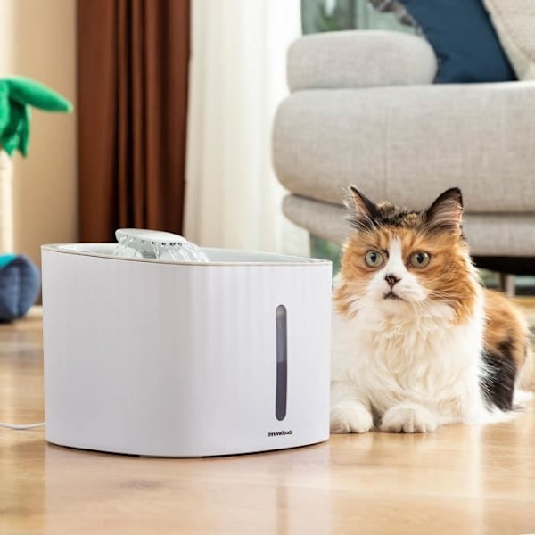 Eläinvettä - InnovaGoods - Drinkatt - Raikasta vettä - Sisäinen pumppu - Mukava sisätila