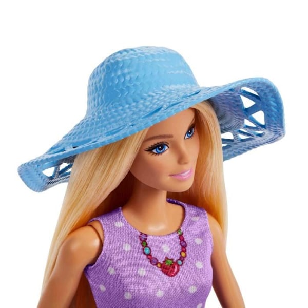 Barbie-perhe ja ystävät - Barbie piknik - lahjasetti 2 nukkea - 3 vuotta+ - JBF43