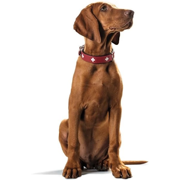 Hundehalsbånd - HUNTER - Swiss - Nedbrydeligt økologisk læder - Rød/Sort - Str. 47 Rød/sort