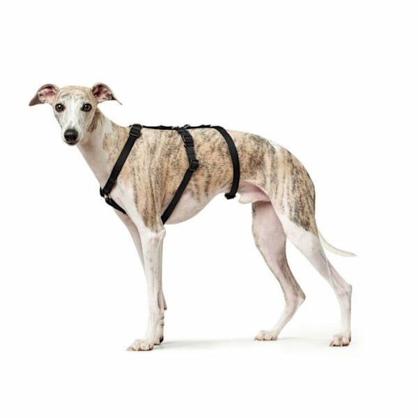 Transportsæt - rejser - Hunter walk - 66202