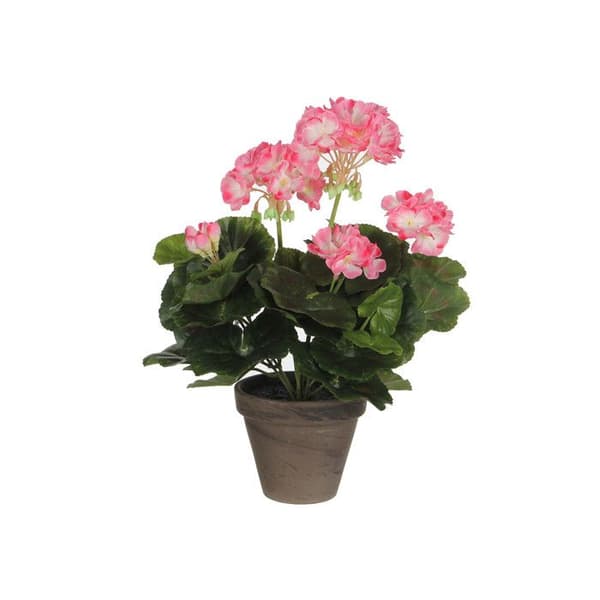 MICA Decorations Kukat, iso geranium Monivärinen - 950219
